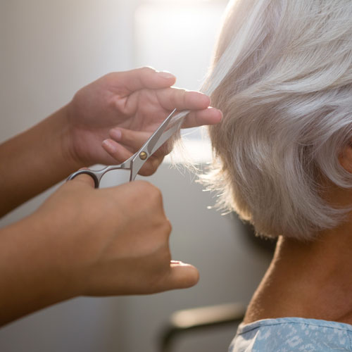 Amenities and Services at The Orchard