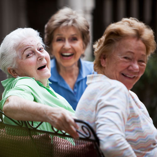 Social Life and Community at The Orchard